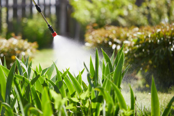 24/7 Emergency Mosquito Control experts in Walker, MI